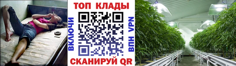 Купить закладку Сыктывкар Кодеин Конопля АМФ ГАШ Меф мяу мяу COCAIN
