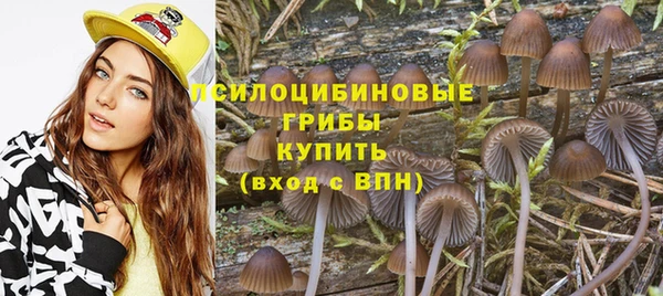 метадон Аркадак