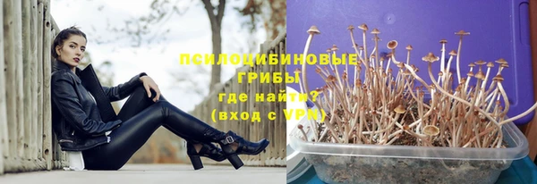 амф Алексеевка